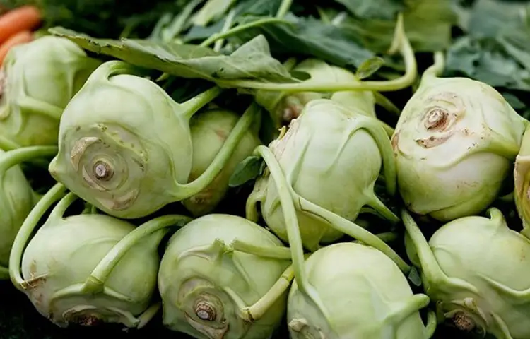 কম দামে এমন সবজি যা শরীরের তিনটি বড় সমস্যার সমাধান