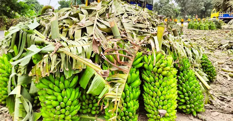 কলা