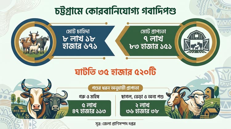 কোরবানির পশু চট্টগ্রাম