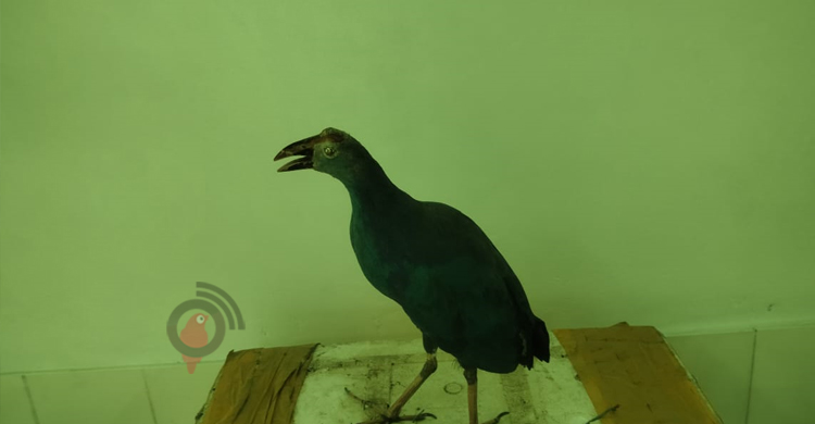 সুন্দরবনের জীববৈচিত্র্যের তথ্য মিলবে করমজলে