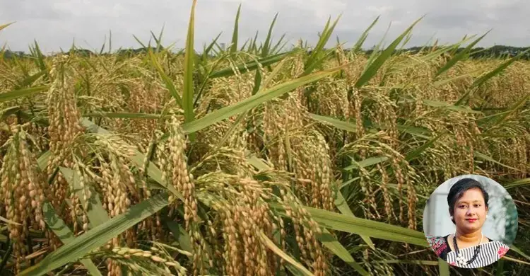 কোথায় হারিয়ে যাচ্ছে কৃষকের ন্যায্য দাম?