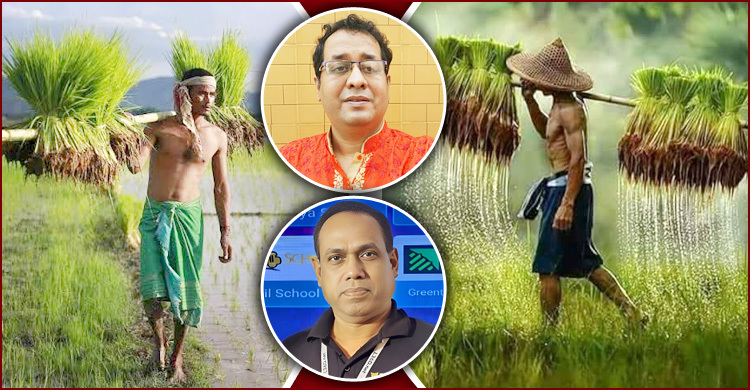 কৃষিক্ষেত্রে সংস্কার ভাবনা ও করণীয়