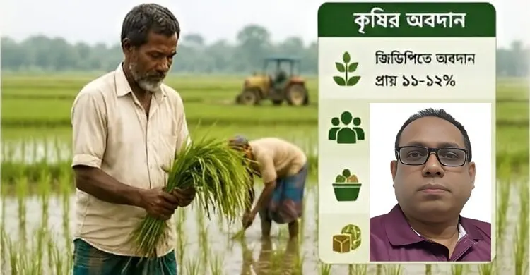 বাজেটে কৃষির অবস্থান ও বাস্তব চিত্র