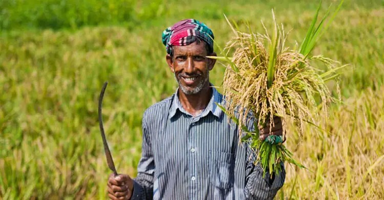 নগদ সহায়তা ও সার-বীজ পেতে চালু হচ্ছে কৃষক কার্ড