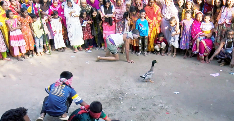 কুড়িগ্রামে হাঁস ধরা-বালিশ খেলা দেখতে উৎসুক জনতার ভিড়