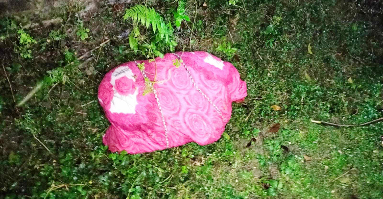 রশিতে বাঁধা কম্বল খুলতেই মিললো কলেজছাত্রীর মরদেহ