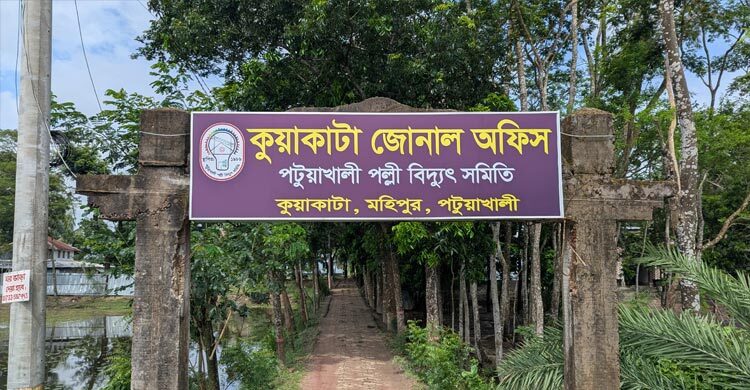 মিটার না দেখেই ‘মনগড়া’ বিলে অতিষ্ঠ গ্রাহক