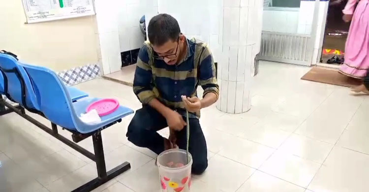 হাড় ভেঙেছে সাপের, এক্স-রে করে চলছে চিকিৎসা