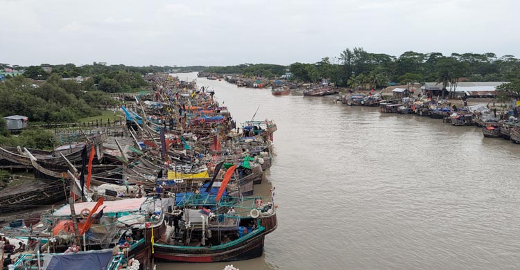 নিষেধাজ্ঞা কাটতেই ইলিশ শিকারে আবহাওয়ার বাগড়া