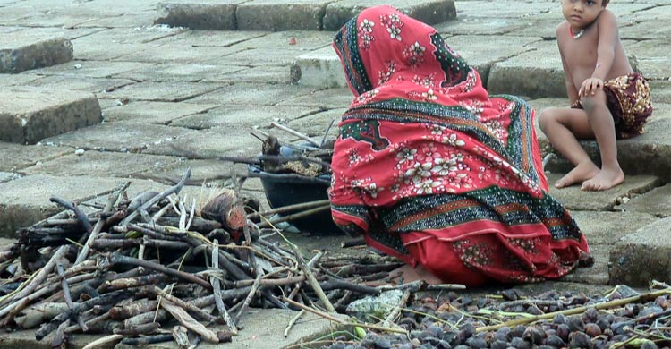 উপকূলীয় মানুষের জ্বালানির জন্য ভরসা সমুদ্রে ভেসে সুন্দরী ফল