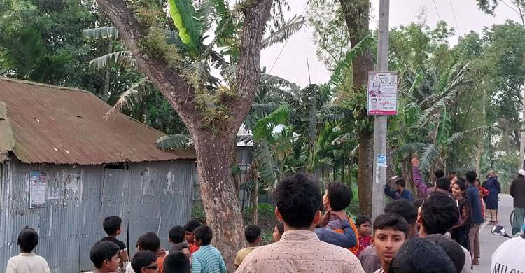 ফুলবাড়ীতে খাবারের খোঁজে লোকালয়ে হনুমান