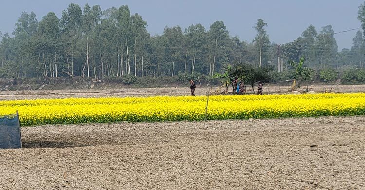 বিজিবির বাধায় পাকা সড়ক নির্মাণের সরঞ্জাম সরিয়ে নিলো বিএসএফ