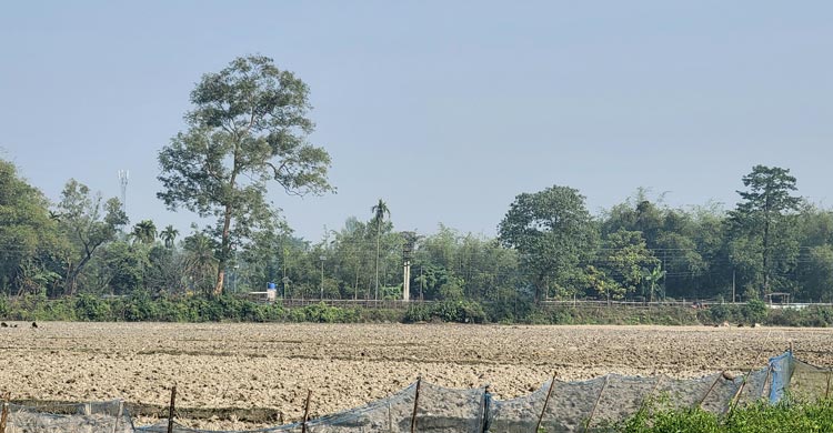 বিজিবির বাধায় পাকা সড়ক নির্মাণের সরঞ্জাম সরিয়ে নিলো বিএসএফ