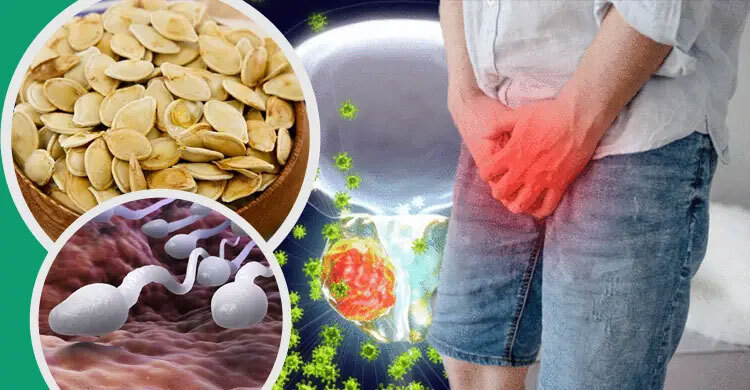 পুরুষদের যেসব সমস্যার সমাধান দেয় কুমড়ার বীজ