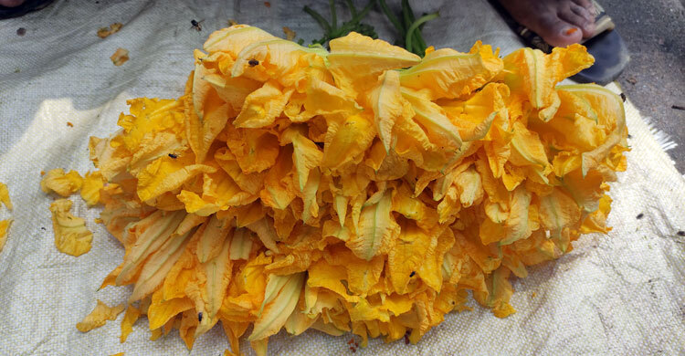 মাগুরায় কুমড়ো ফুুল বিক্রি করে বাড়তি আয়