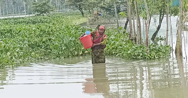 এখনও বিপৎসীমার উপরে দুধকুমার