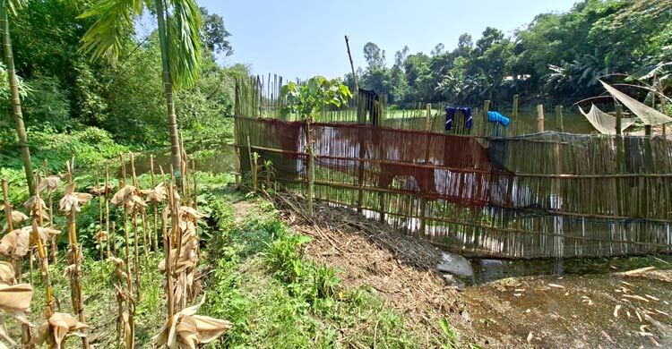 সংকটে খলিসাকুড়ি-ভাস্কর নদী