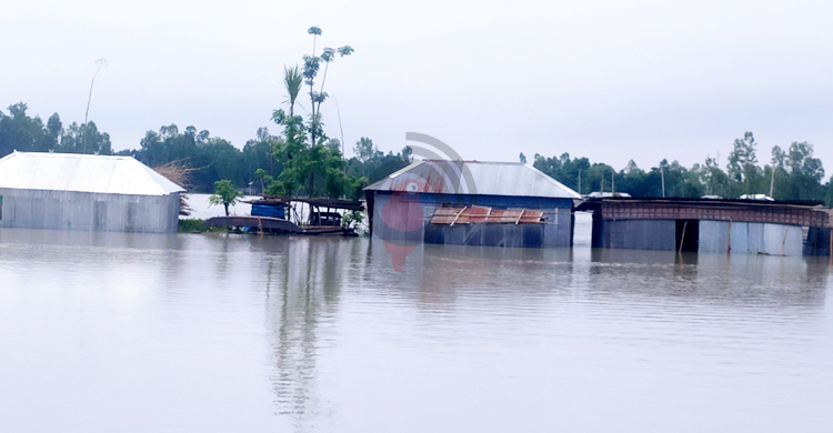 কুড়িগ্রামে পানিবন্দি ১০ হাজার মানুষ