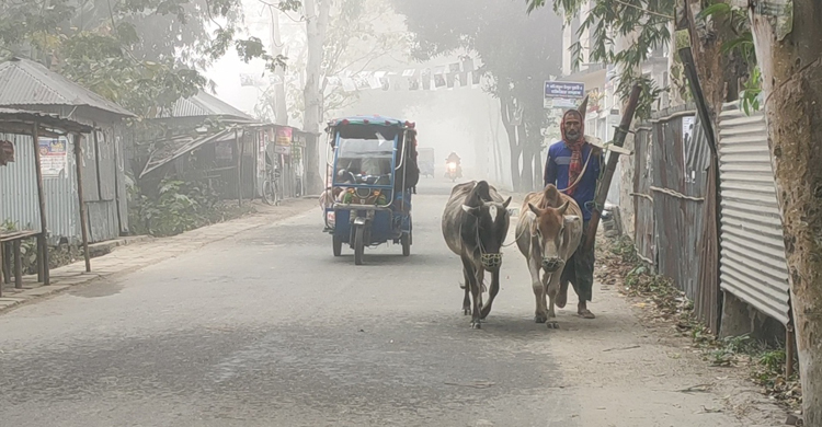 কুড়িগ্রামে আবারো জেঁকে বসেছে শীত