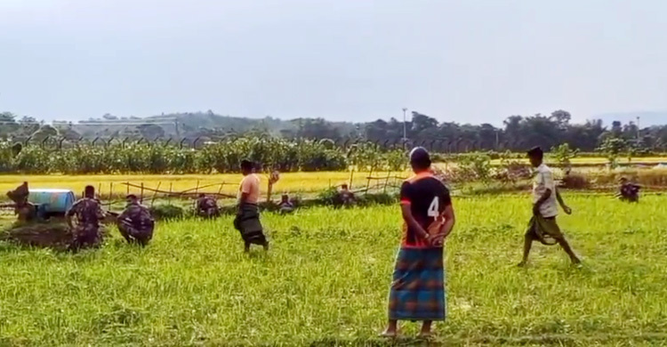 কু‌ড়িগ্রা‌ম সীমান্তে আরও ৩৭ জনকে পুশইন বিএসএফের