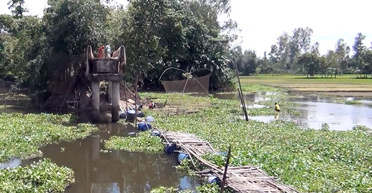 ভেঙে পড়া সেতুতে দুর্ভোগে ৪ গ্রামের মানুষ