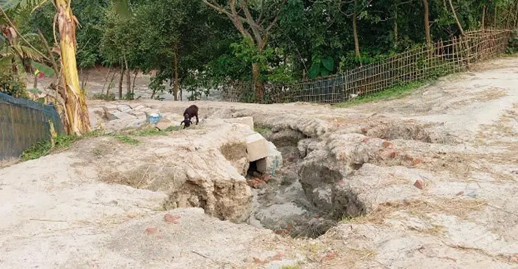 কোটি টাকার বাঁধ কেটে বালুর মহাসড়ক, ঝুঁকিতে তীররক্ষা প্রকল্প