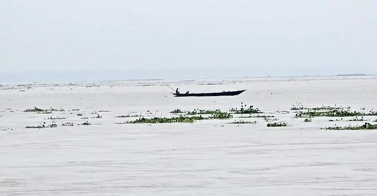 কুড়িগ্রামে বাড়ছে পানি, ভাঙছে নদীর পাড়