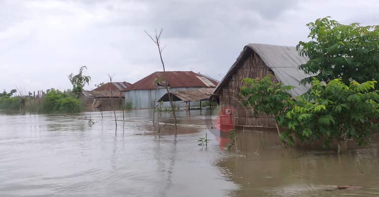কুড়িগ্রামে দেড় লাখ মানুষ পানিবন্দি