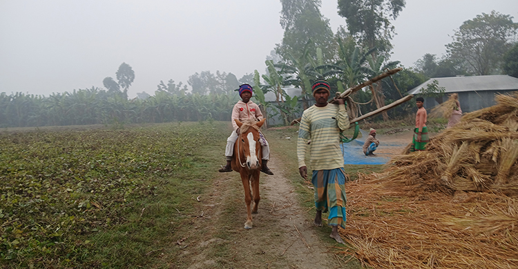 ঘন কুয়াশা-মৃদু শৈত্যপ্রবাহে স্থবির কুড়িগ্রামের জনজীবন
