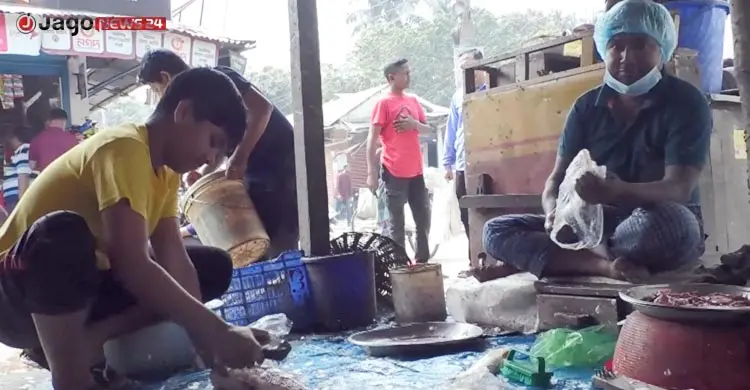 মাছের আঁশ রপ্তানি করে আসছে লাখ টাকা