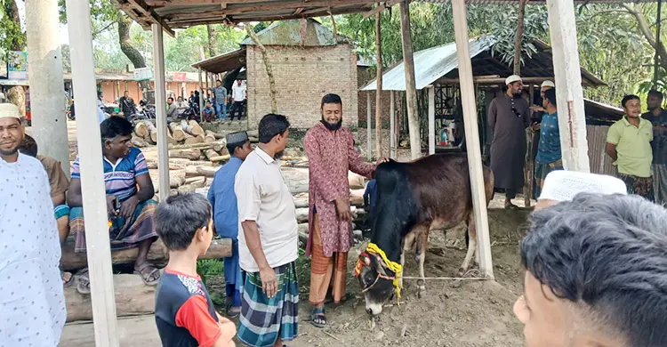 প্রথমবারের মতো গরুর মাংস বিক্রি হলো কুড়িগ্রামের যে বাজারে