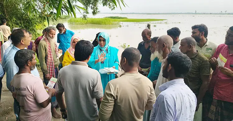 কুড়িগ্রামে ইঁদুরে কাটা-মেয়াদোত্তীর্ণ ত্রাণ বিতরণের অ‌ভিযোগ