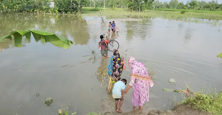 কালভার্ট ধসে পড়ে যোগাযোগ বিচ্ছিন্ন, বিপাকে ৫ শতাধিক পরিবার