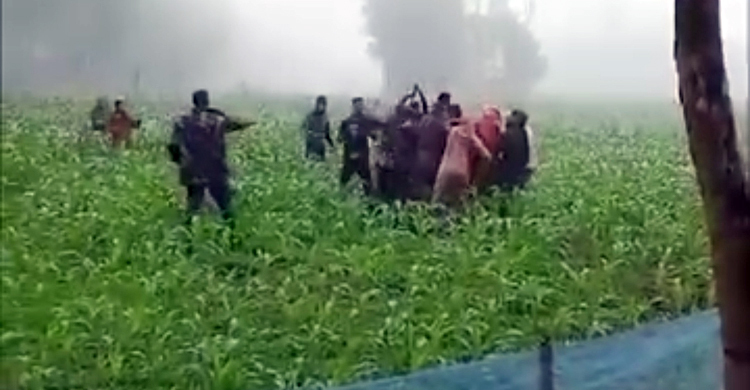 গরু নিয়ে বিজিবি-চোরাকারবারি সংঘর্ষে আহত ৮