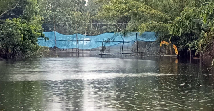 কুড়িগ্রামে বানে ভেসে গেছে সাড়ে ৪ কোটি টাকার মাছ