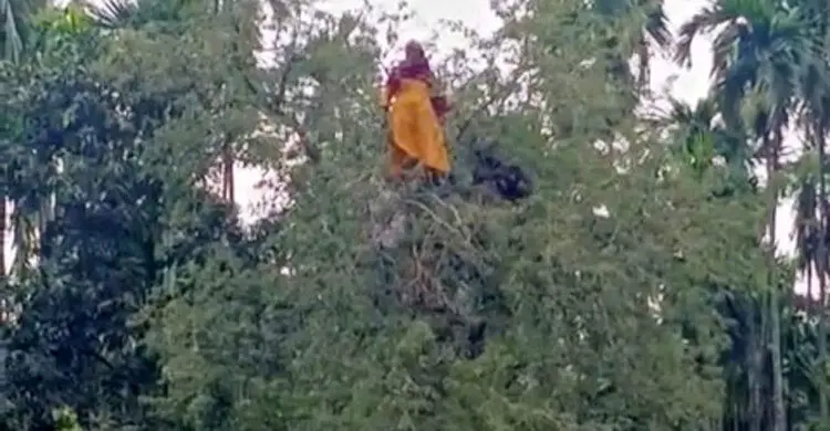 সকাল থেকে নিখোঁজ বৃদ্ধা, পাওয়া গেল তেঁতুল গাছের মগডালে