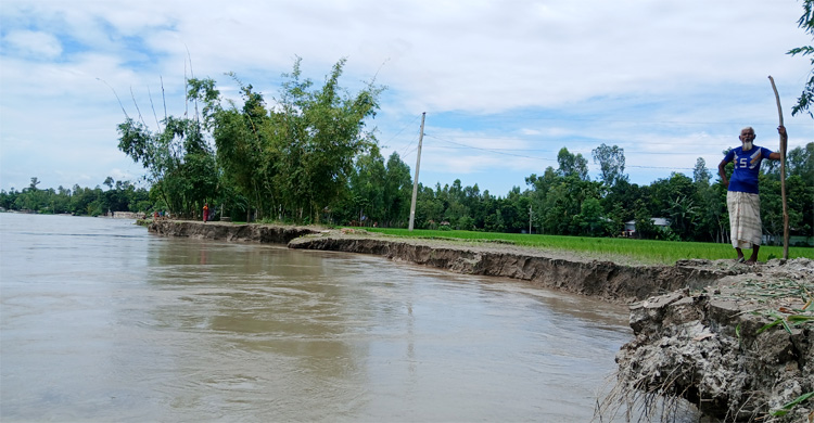 কুড়িগ্রামে পানি কমলেও বাড়ছে ভাঙন আতঙ্ক