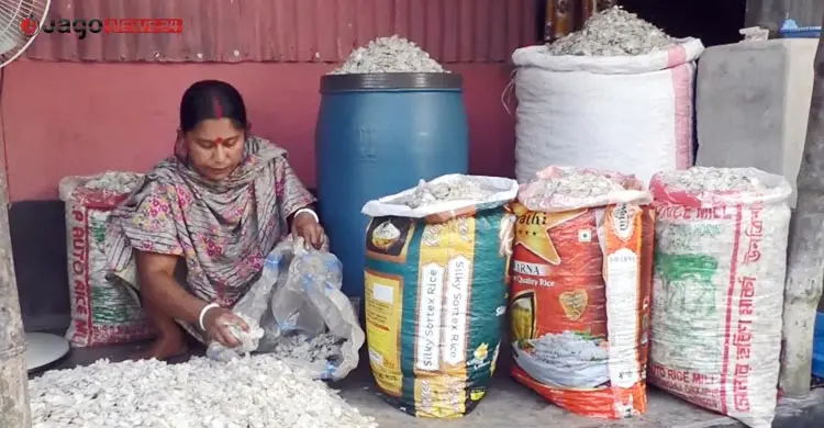 মাছের আঁশ রপ্তানি করে আসছে লাখ টাকা