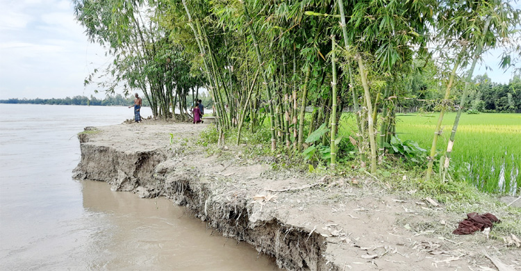 কুড়িগ্রামে পানি কমলেও বাড়ছে ভাঙন আতঙ্ক