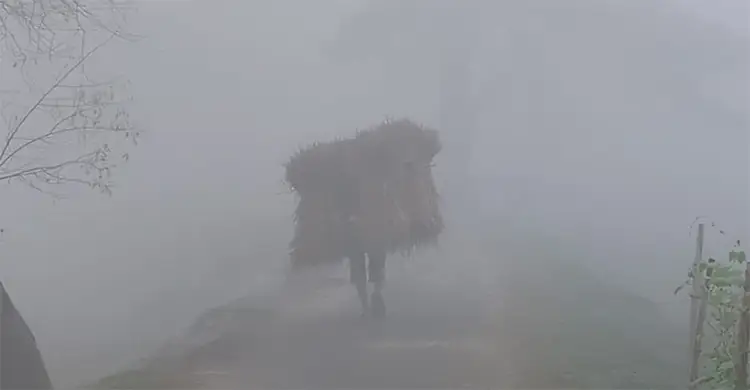 কু‌ড়িগ্রামে হিমেল হাওয়া ও কনকনে ঠান্ডা, দেখা নেই সূর্যের