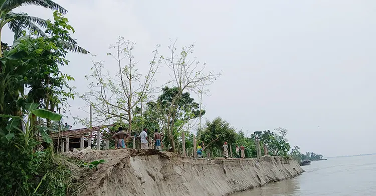 কুড়িগ্রামে বন্যার পানি নামলেও তীব্র হচ্ছে নদীভাঙন