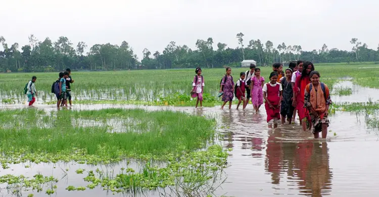 কালভার্টের মুখ বন্ধ করে বাড়ি, ডুবেছে স্কুল-রাস্তা-ফসলি জমি