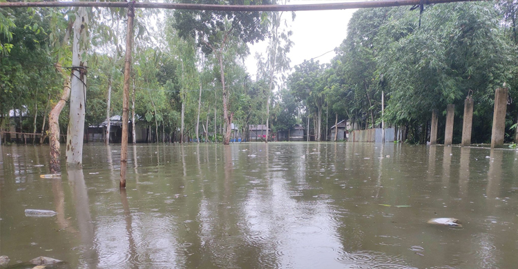 কুড়িগ্রামে তলিয়ে গেছে আমনক্ষেত, টানা বৃষ্টিতে বিপাকে মানুষ