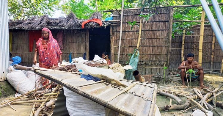 ব্রহ্মপুত্র-তিস্তার ভাঙনে নিঃস্ব শতাধিক পরিবার