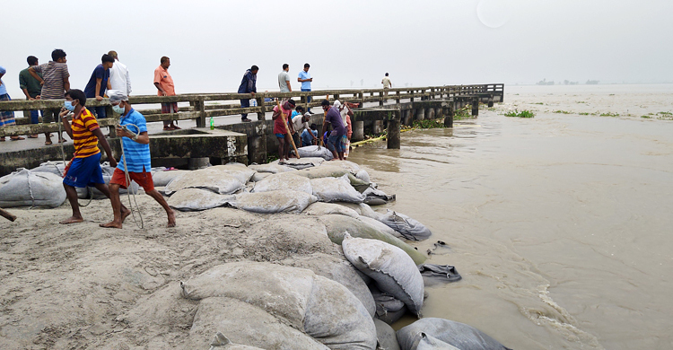 তিস্তায় প্রবল স্রোত, দেবে গেছে ৩০ মিটার স্পার বাঁধ