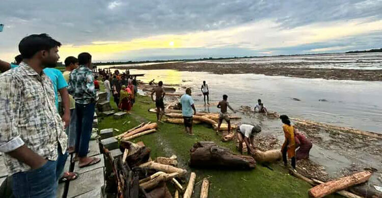 ভারতে প্রবল বৃ‌ষ্টি, কু‌ড়িগ্রাম সীমান্তে ভেসে আসছে গাছ