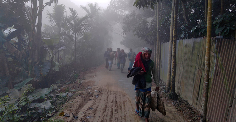 কুড়িগ্রামে মৃদু শৈত্যপ্রবাহ, তাপমাত্রা ৯ ডিগ্রি
