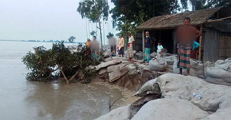 তিস্তা-ধরলার ভয়াবহ রূপ, নিঃস্ব হচ্ছে নদীপাড়ের মানুষ