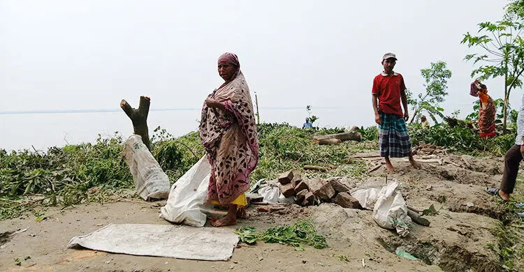 ২৫ বার ভিটে হারিয়ে সর্বস্বান্ত মমেনা, শেষ আশ্রয়ও এখন ভাঙনের মুখে