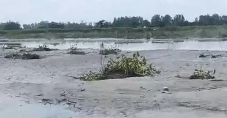 সীমান্তবর্তী দুধকুমার নদের কাদায় পড়ে ছিল মরদেহ